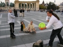Kiemel�s az Albumhoz: 2004.10.02. - Skate